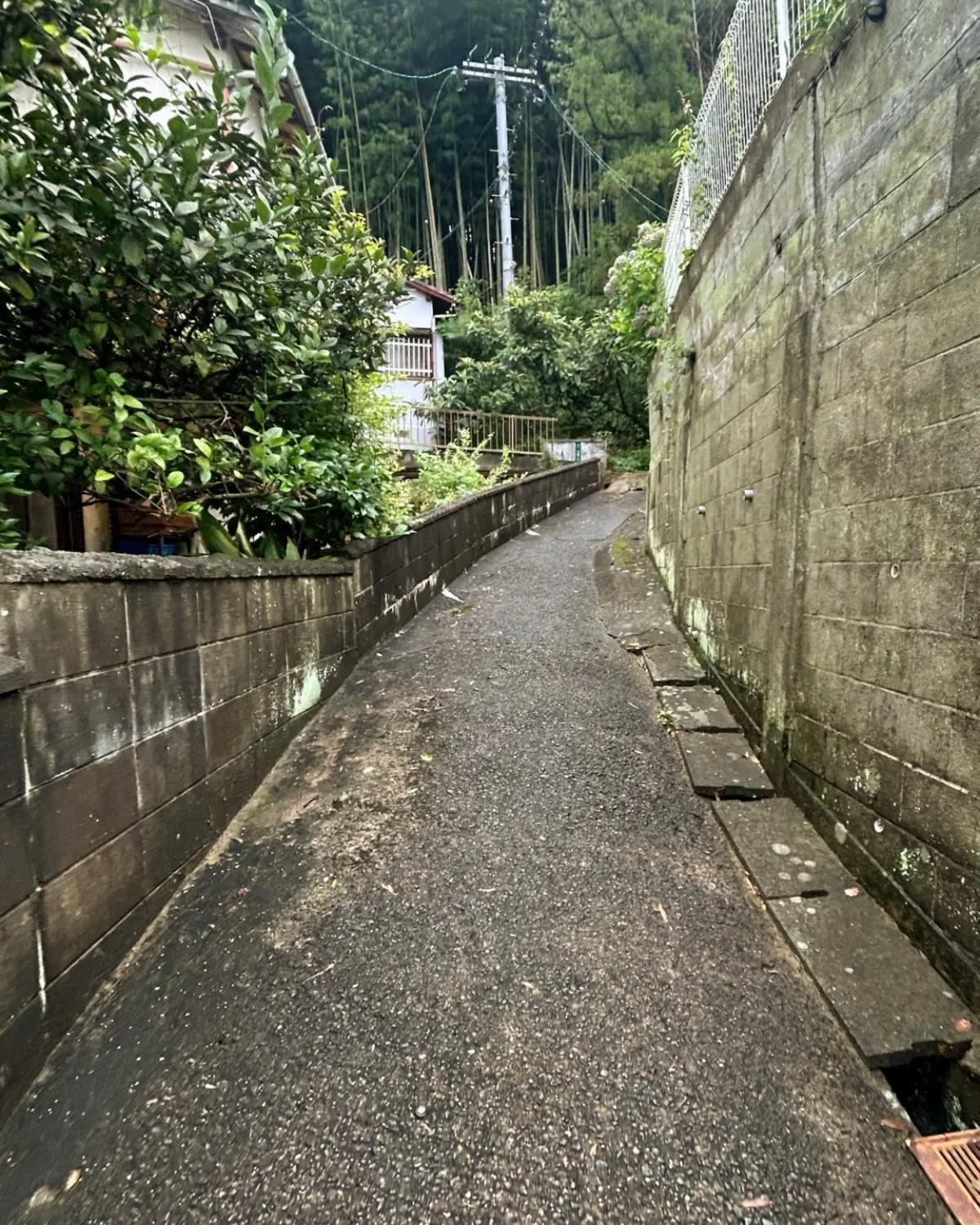 大宰府らたん付近坂道