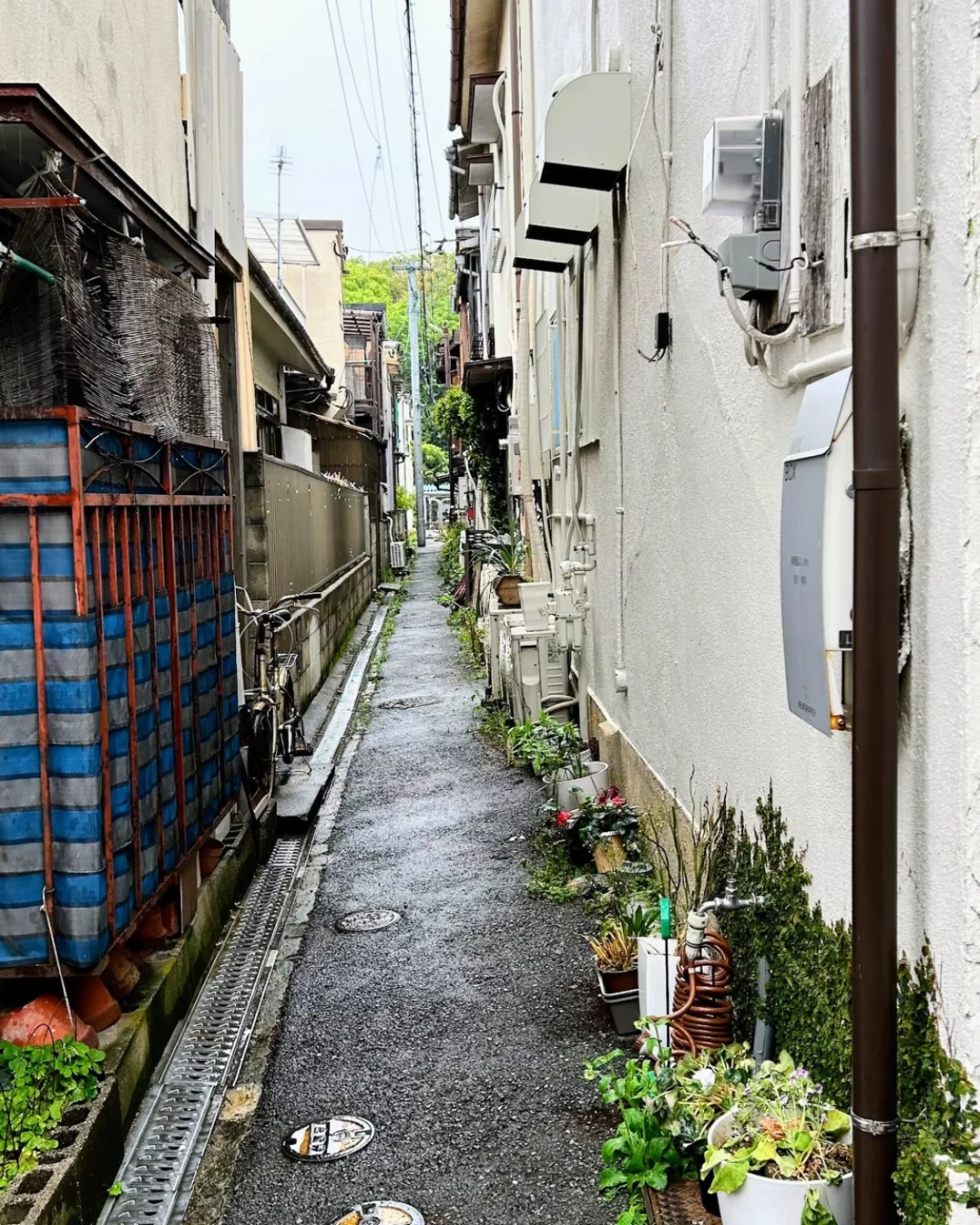 六本松ニド外観②
